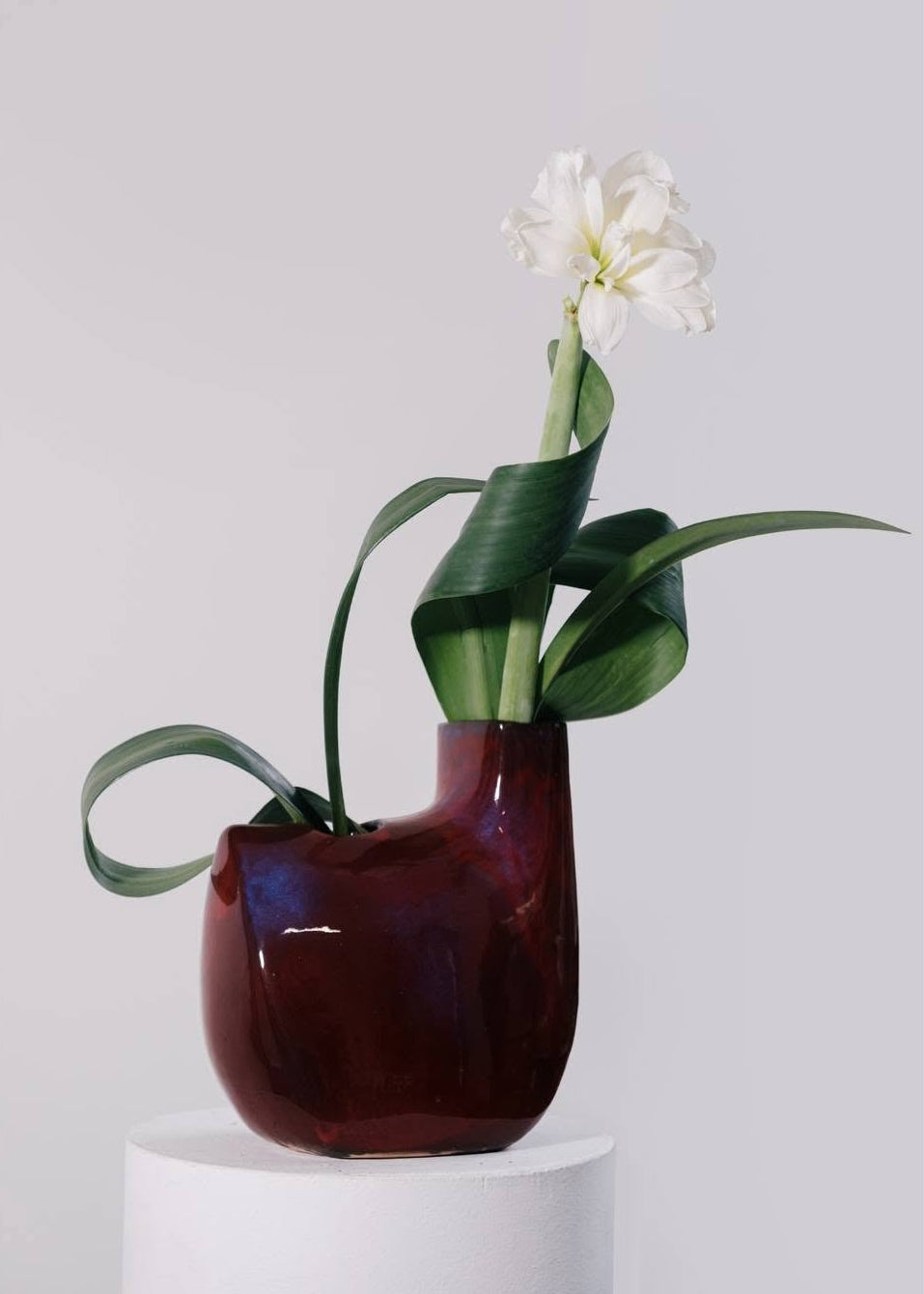 “Nga Nga” – Sculptural Bát Tràng Ceramic Vase