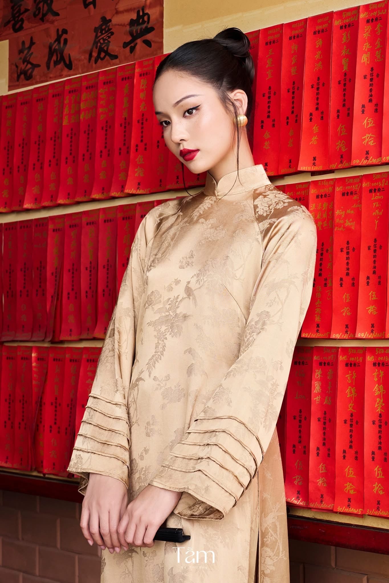 Phuong Luu Ao-dai Set - Pleated Sleeve in Hangzhou silk in Antique Sand Brown - front view by Tam